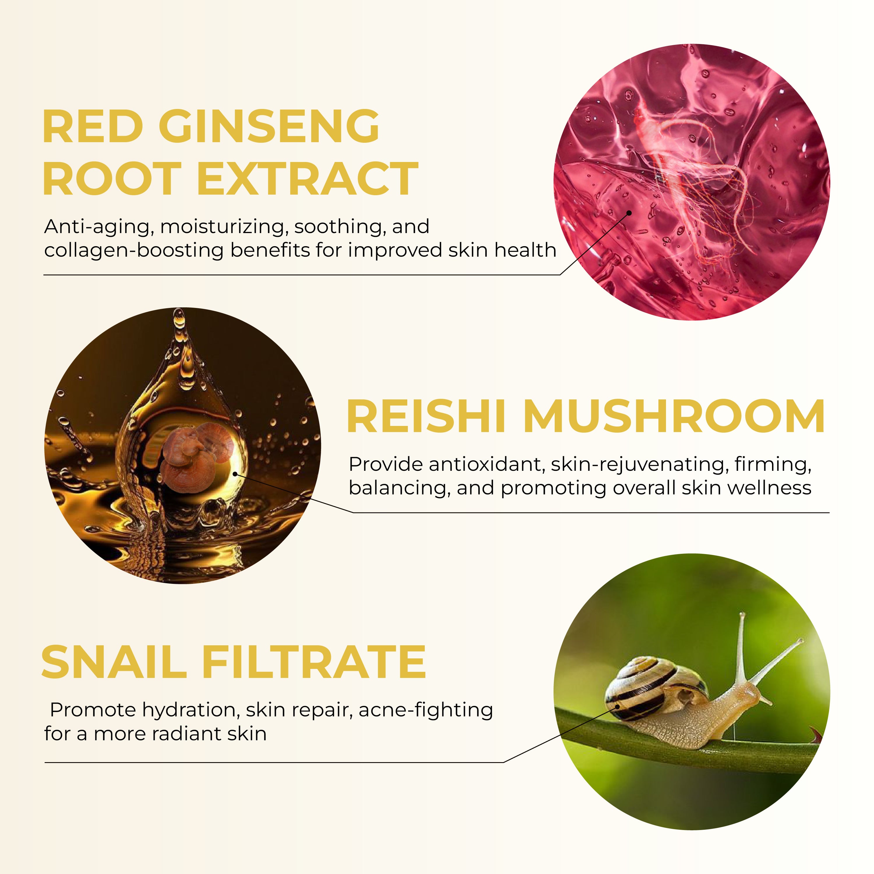 Kasumi Abera Cream US - Melasma Treatment Cream TH