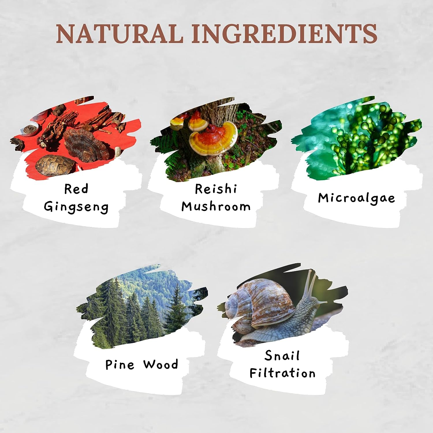 (Combo 2) Kasumi Abera Cream + 1 ABERA Melasma Serum