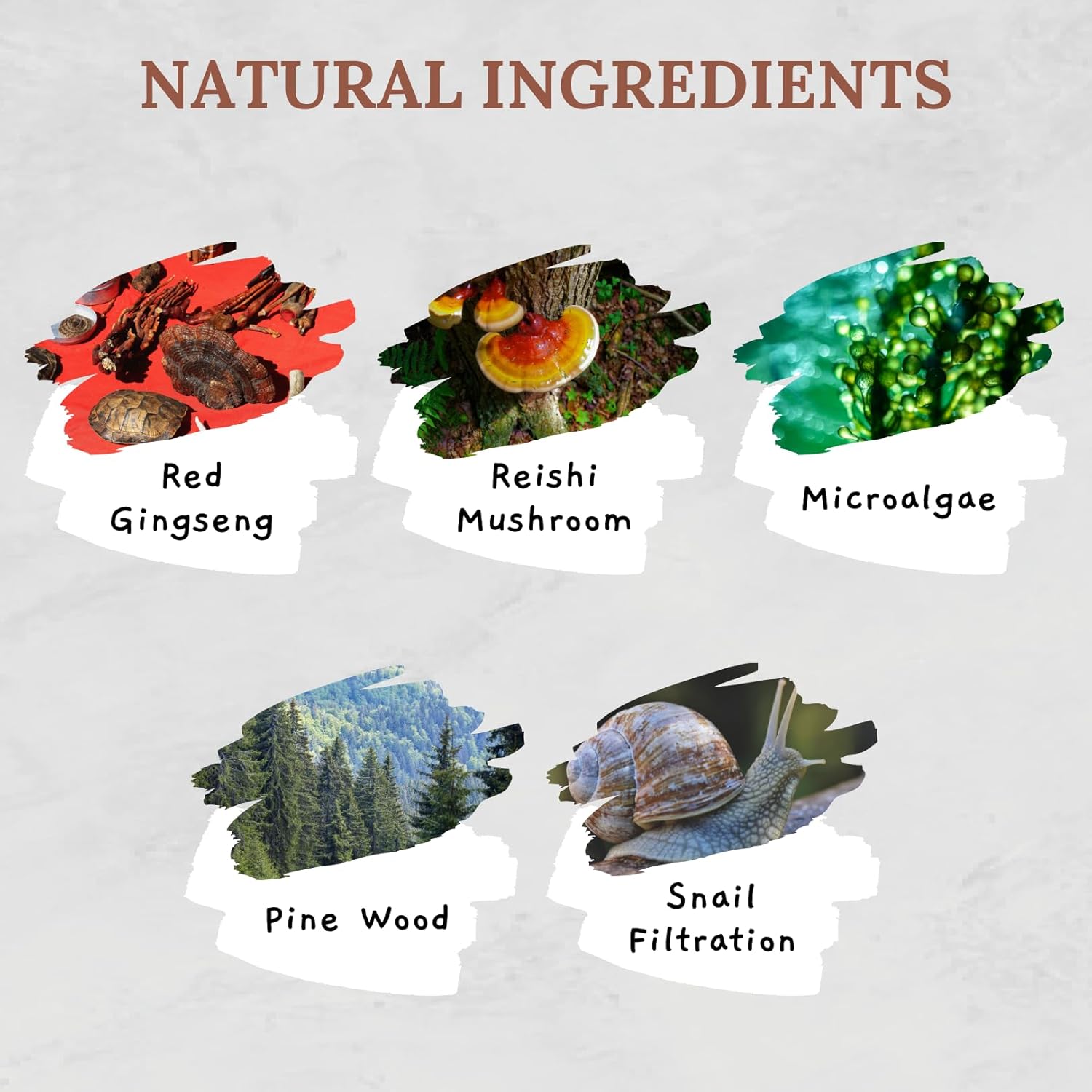 Kasumi Cream & Melasma Serum