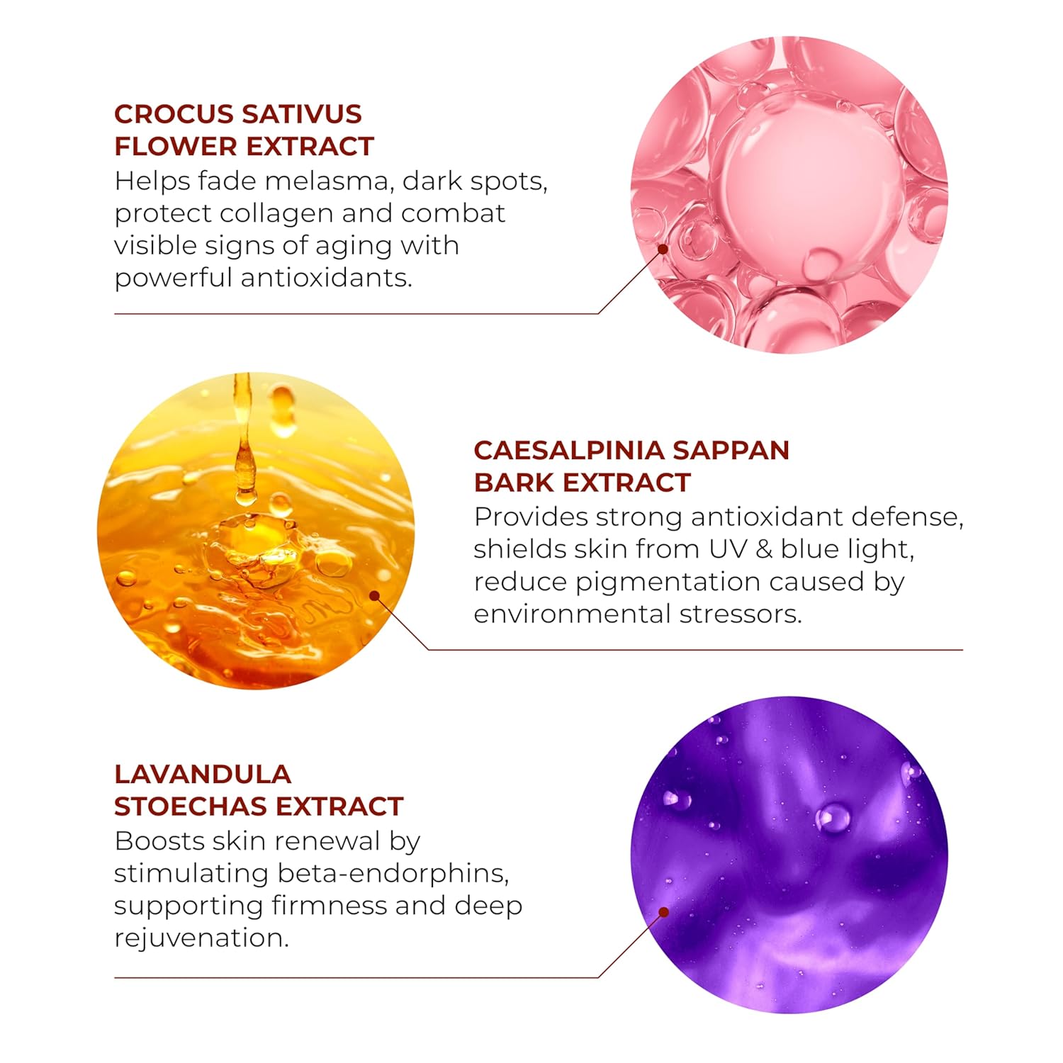 Skin-Renewal Duo – Refines Texture, Smooths Roughness and Brightens Dull Skin